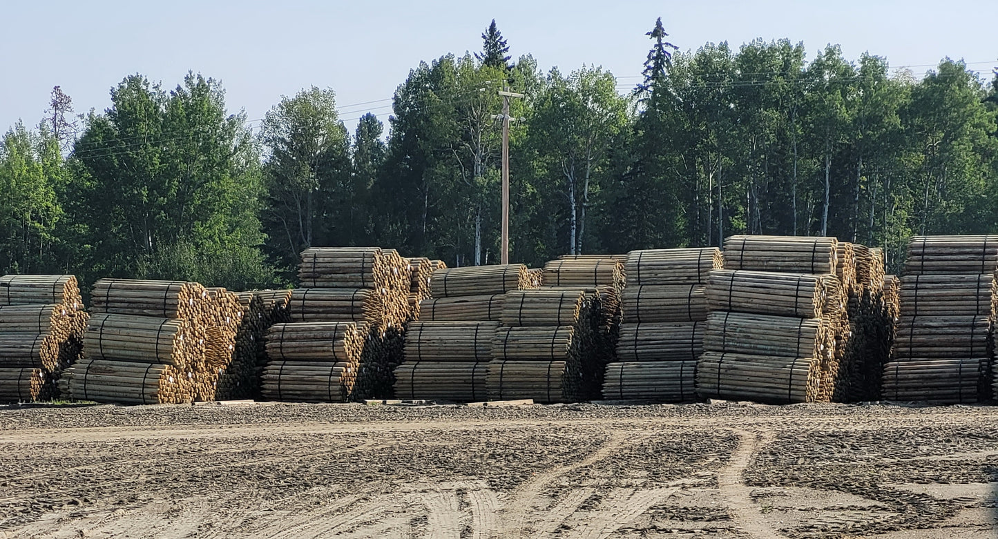 Peeled Fence Posts - Pointed and Dome Top