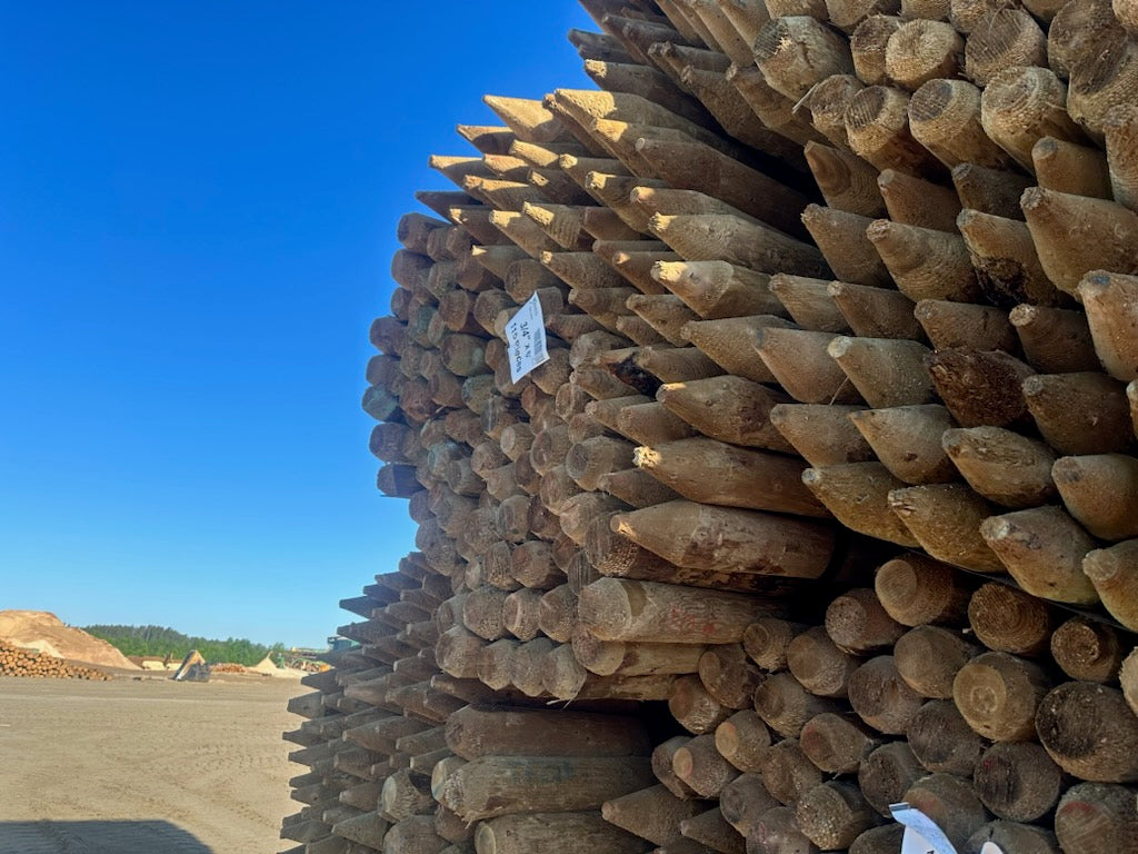 Peeled Fence Posts - Pointed and Dome Top