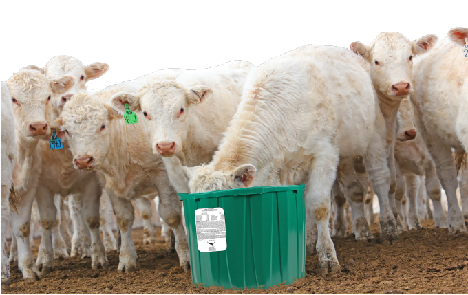 Boss Feeds Mineral Tub - 20% Stress
