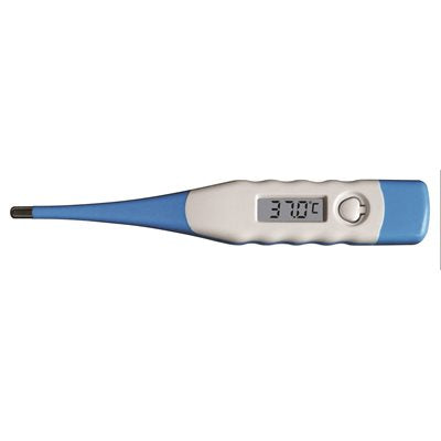 Electronic Thermometer Celsius