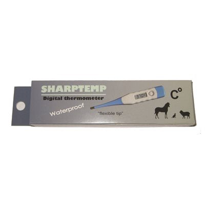 Electronic Thermometer Celsius