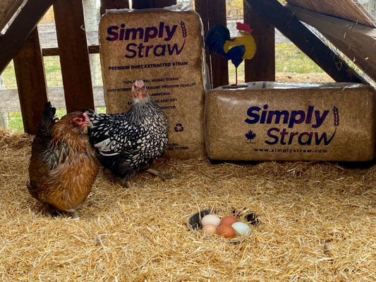 Simply Straw Bale - Clear