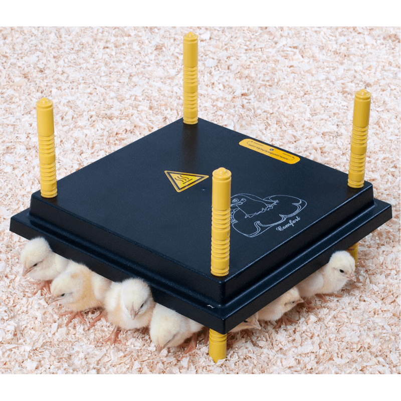 Olba Brooder Plate 12"x12" Square